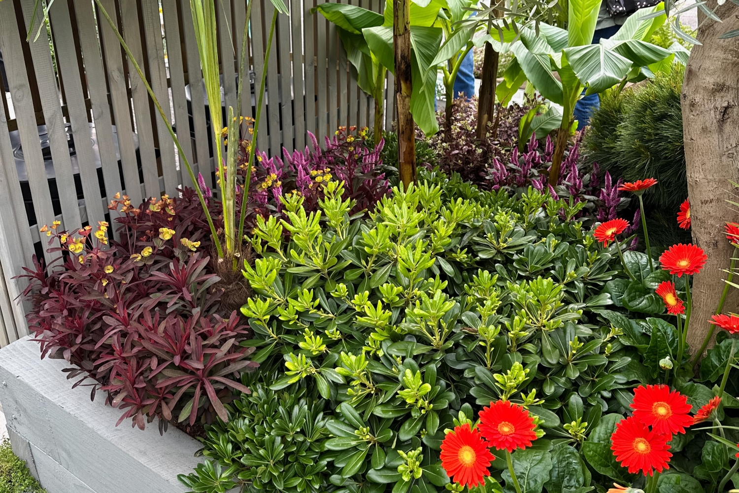 The 'Urban Garden Area' at BBC Gardeners' World Live Sponsored by